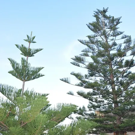 아파트 Artroom Garden 노토